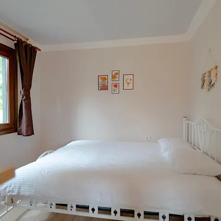 Elmalı Bahçe Tatil Evi *